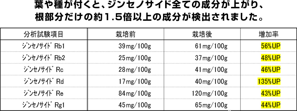 高高麗人参スプラウト