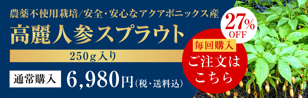 高麗人参スプラウト 250g