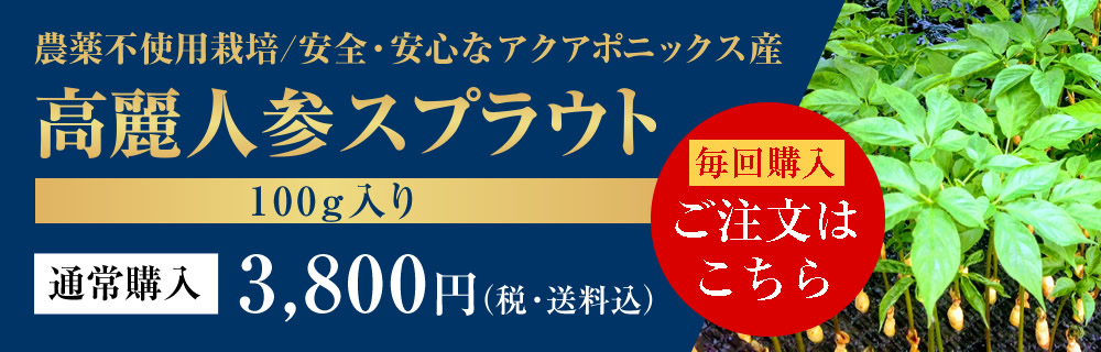 高麗人参スプラウト 100g