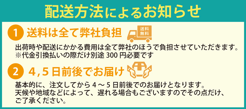 「高麗人参ナチュラル100」