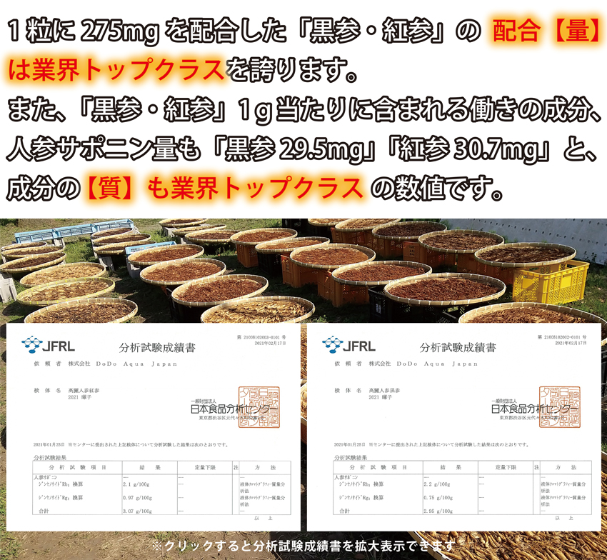 高麗人参、国産黒高麗人参の黒参と紅参のジンセノサイド、サポニン量分析試験成績書